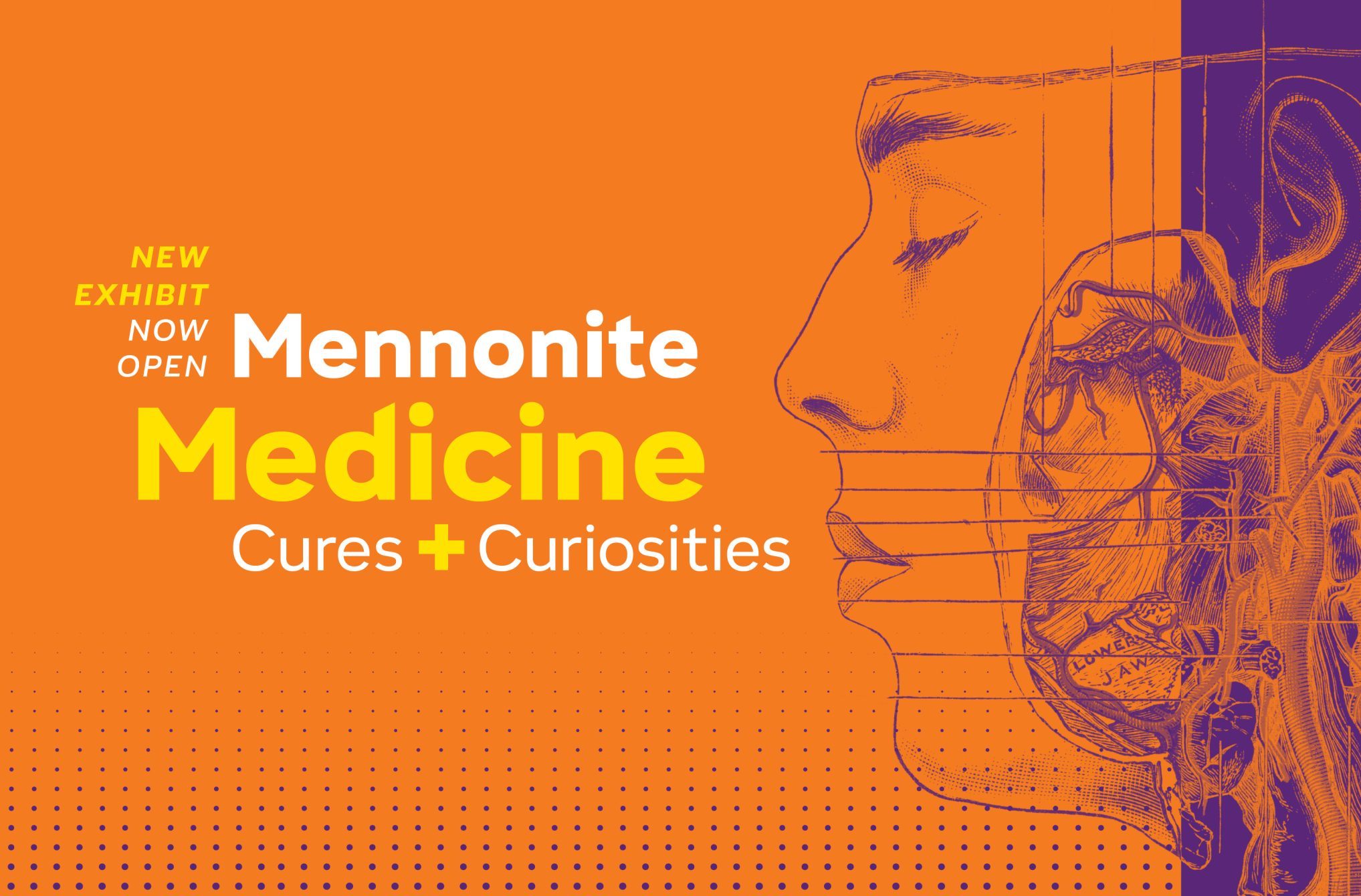 New exhibit open - Mennonite Medicine Cures and Curiosities